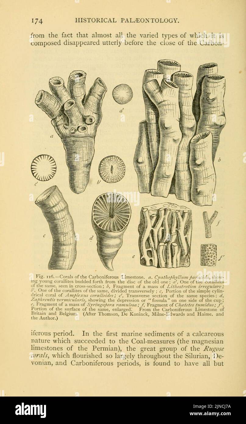 🪡 Aguja La espada de Arya Stark en Juego de Tronos・Archivo STL Gratis para  ・Cults, image size:807x1390