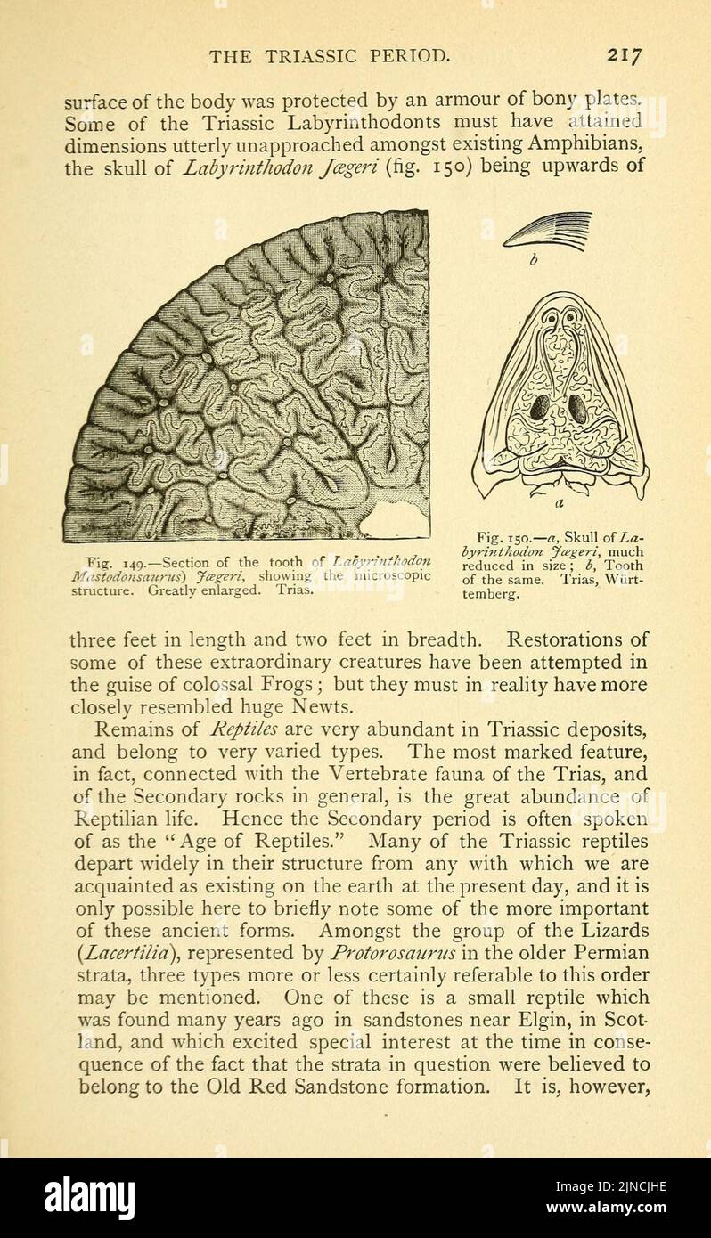 Page217