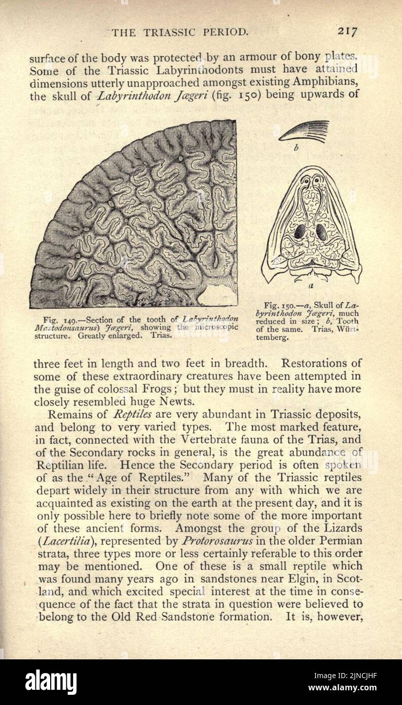Page217