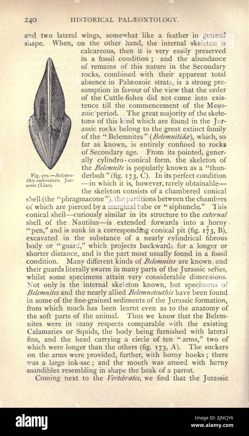 Page240