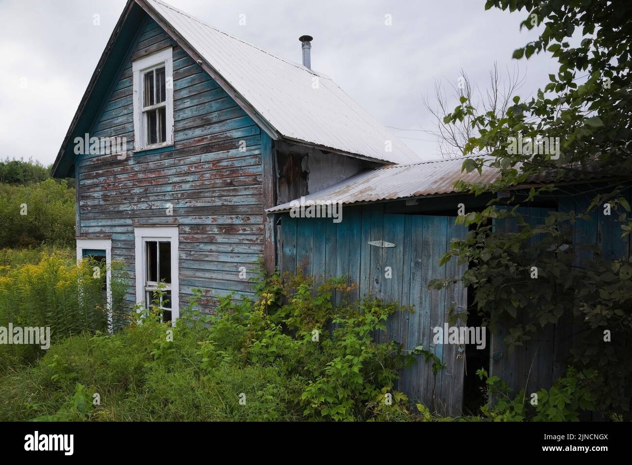 Old abandoned house in a field, Quebec, Canada Stock Photo