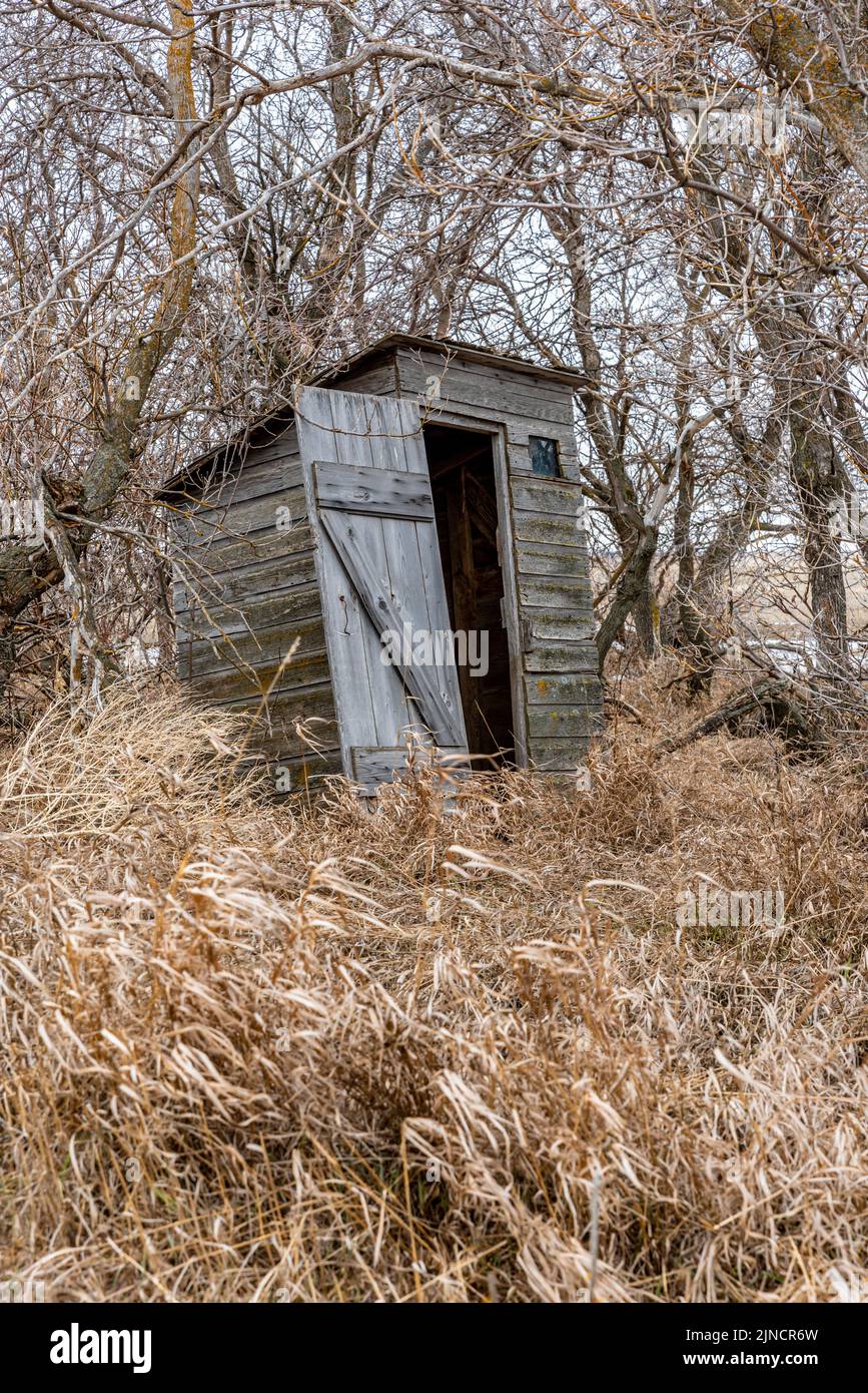 Old wooden outhouse in the bush on the prairie countryside in