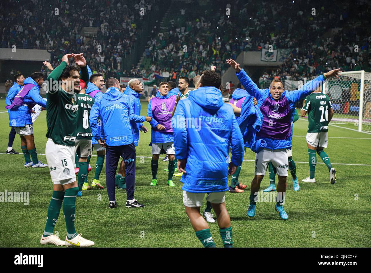 Os 5 melhores jogadores do Palmeiras na temporada 2022