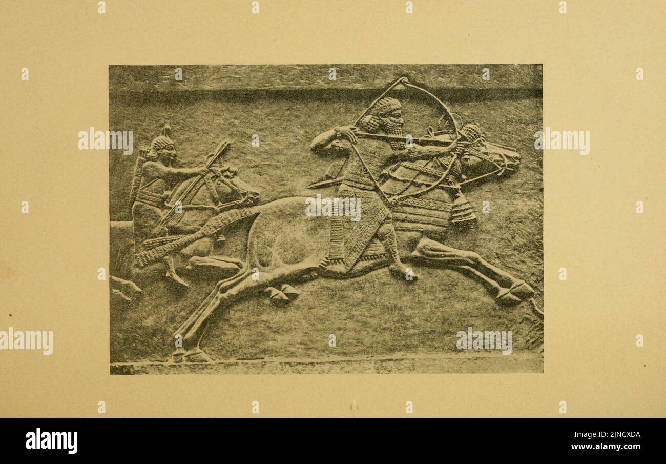 The art of horsemanship Stock Photo Alamy