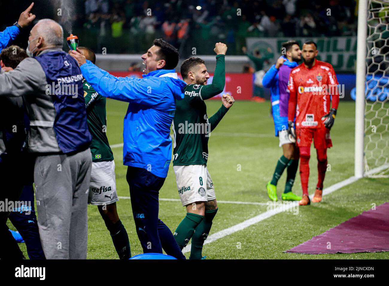 Os 5 melhores jogadores do Palmeiras na temporada 2022