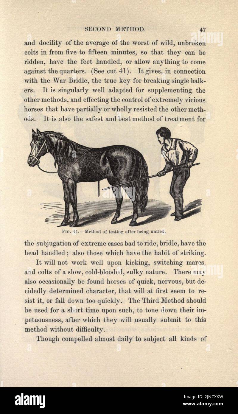 Taming Definition The art of taming and educating the horse (Page 47 Stock Photo - Alamy