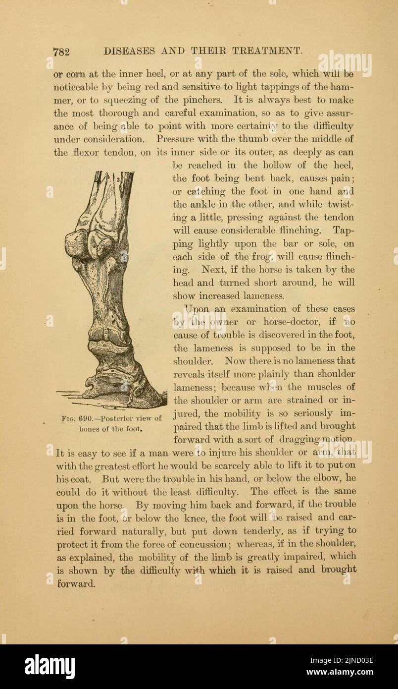 Page782