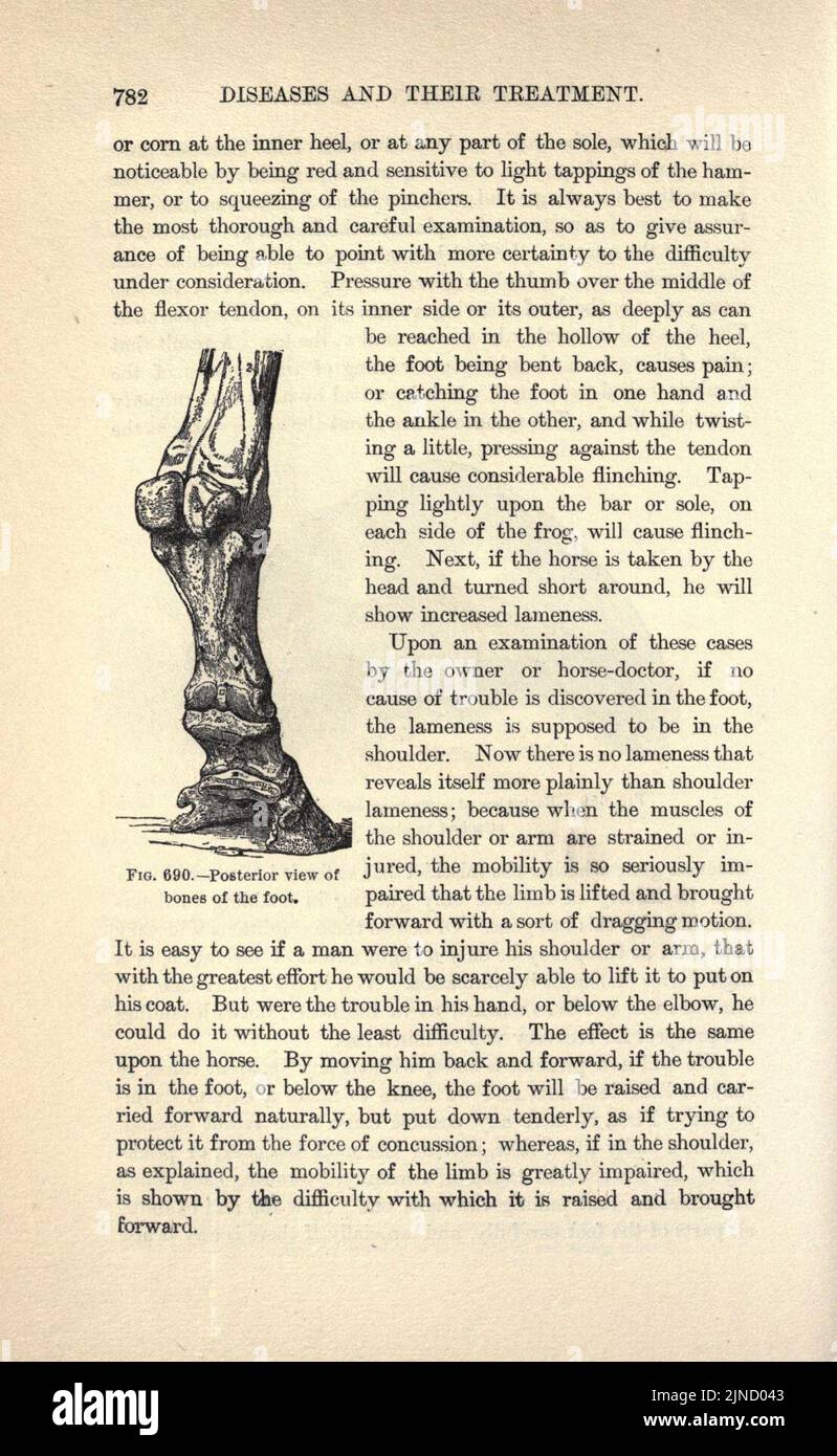 Page782