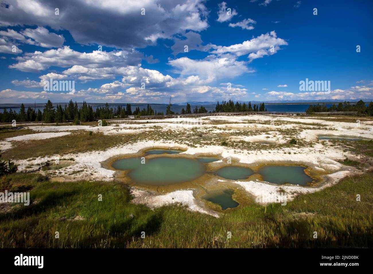 West Thumb Geyser Basin in Yellowstone National Park, Teton County, Wyoming, USA. Mimulus Pools in the foreground and Yellowstone Lake in the distance. Stock Photo