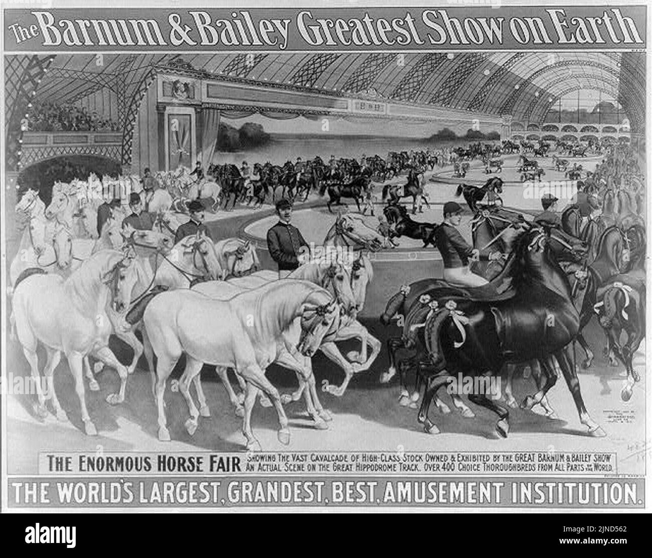 The Barnum & Bailey Greatest Show on Earth. The enormous horse fair
