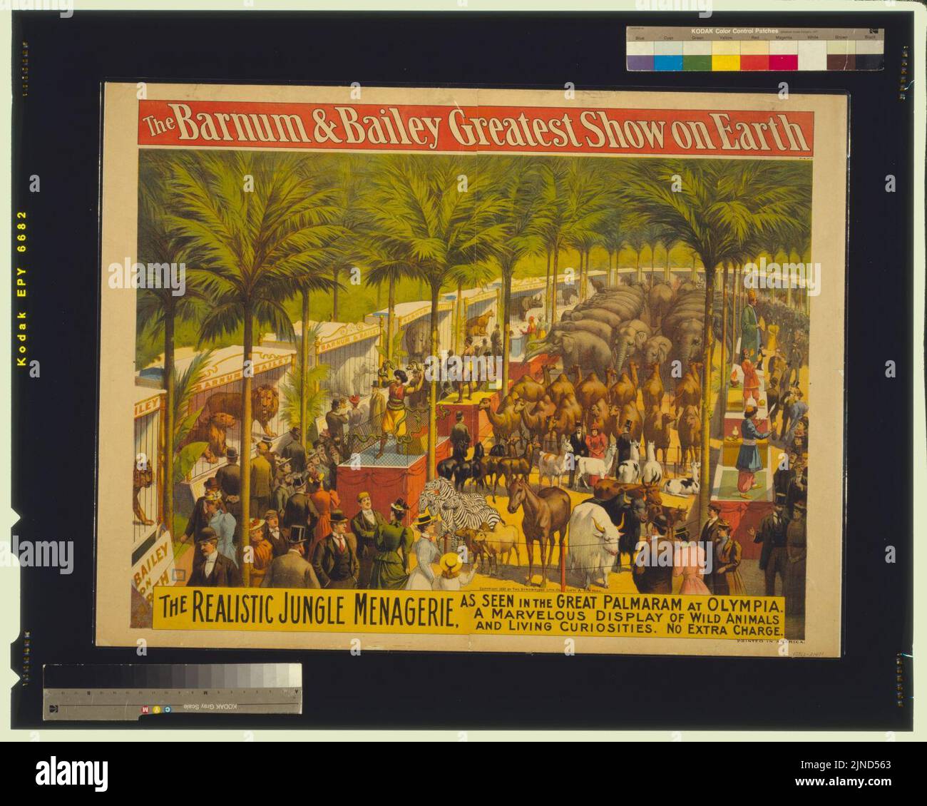 The Barnum & Bailey Greatest Show on EarthThe realistic jungle