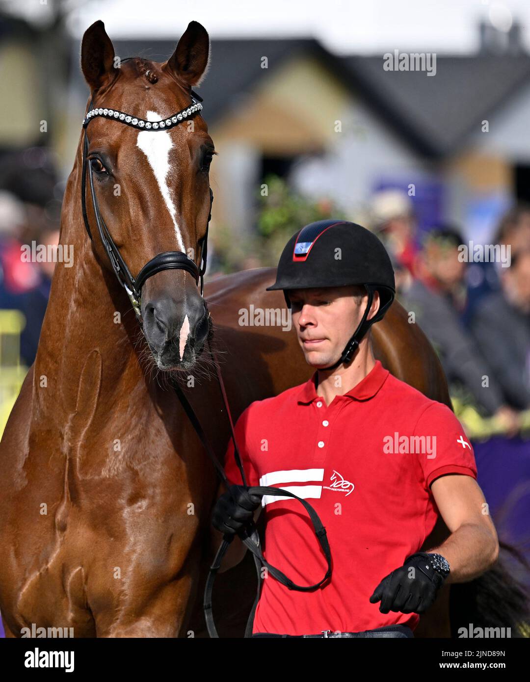 Herning, Denmark. 10th Aug, 2022. World Equestrian Games. Stables