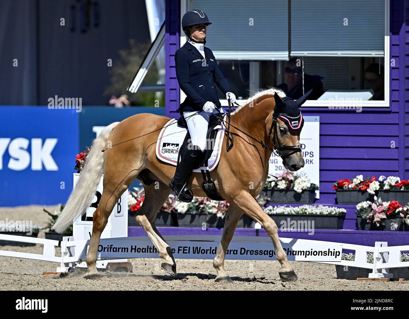 Herning, Denmark. 10th Aug, 2022. World Equestrian Games. Stables
