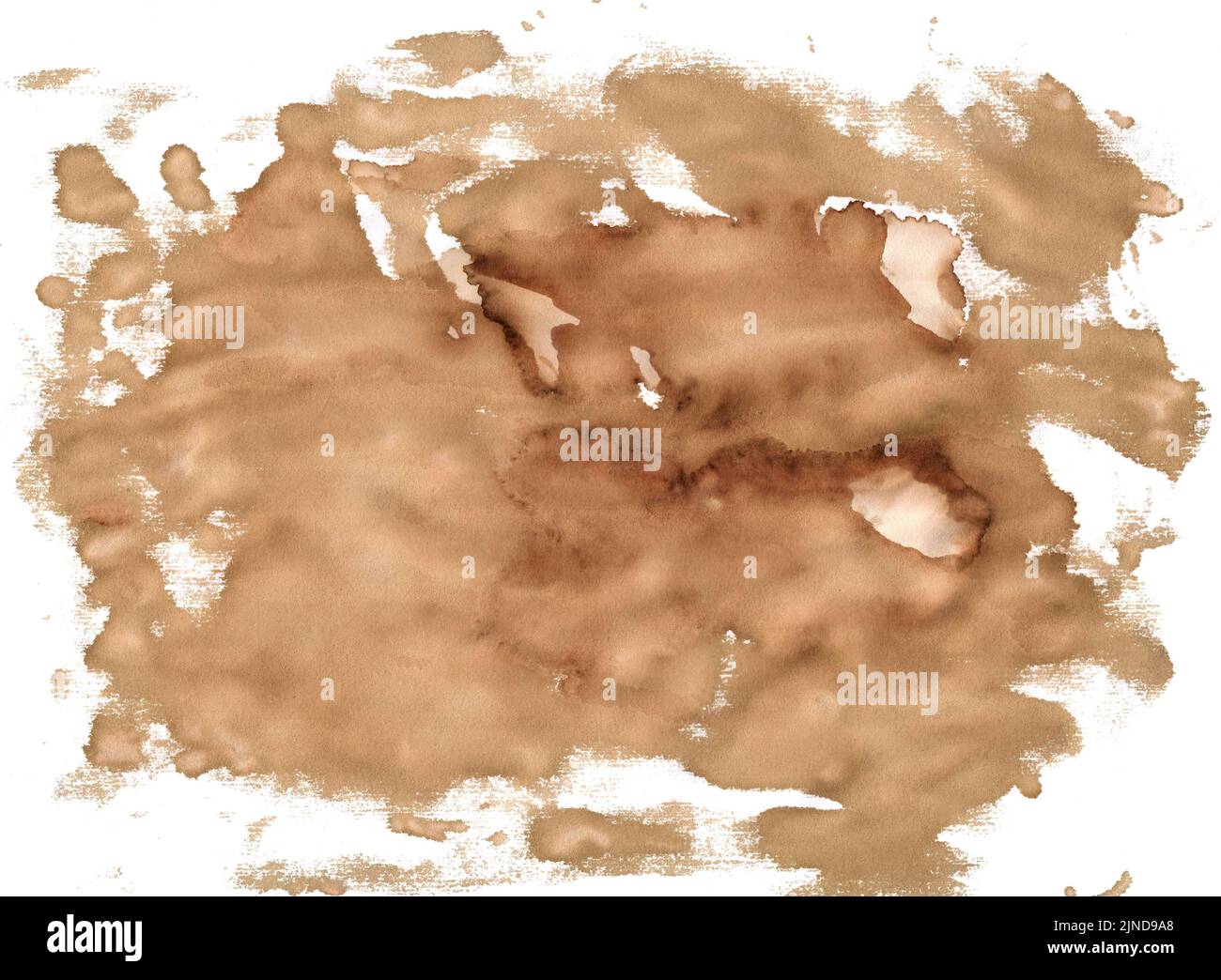 Abstract coffee grunge background. Abstract coffee stains on white