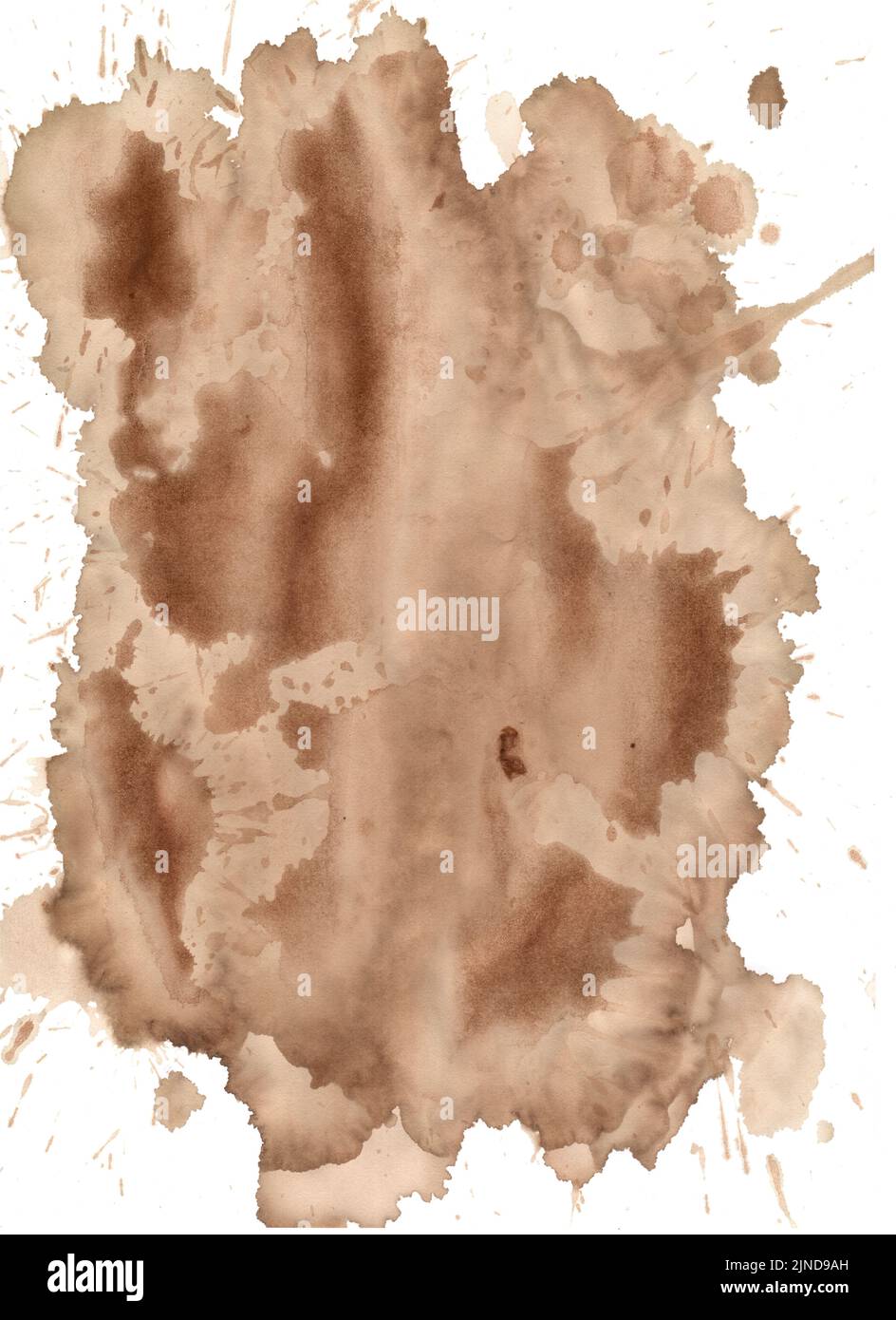 Abstract coffee grunge background. Abstract coffee stains on white