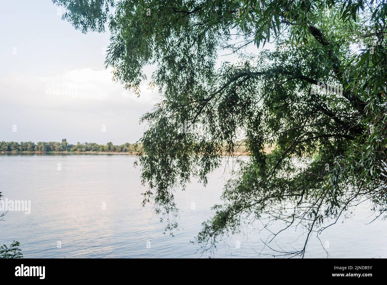 A panoramic view of the bank of the Danube river. A panoramic view of the bank of the Danube