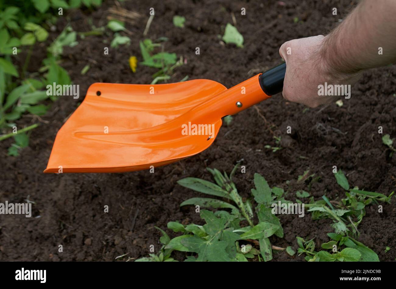 Human hands with shovel digging garden bed or farm. Farming, gardening, agriculture and people