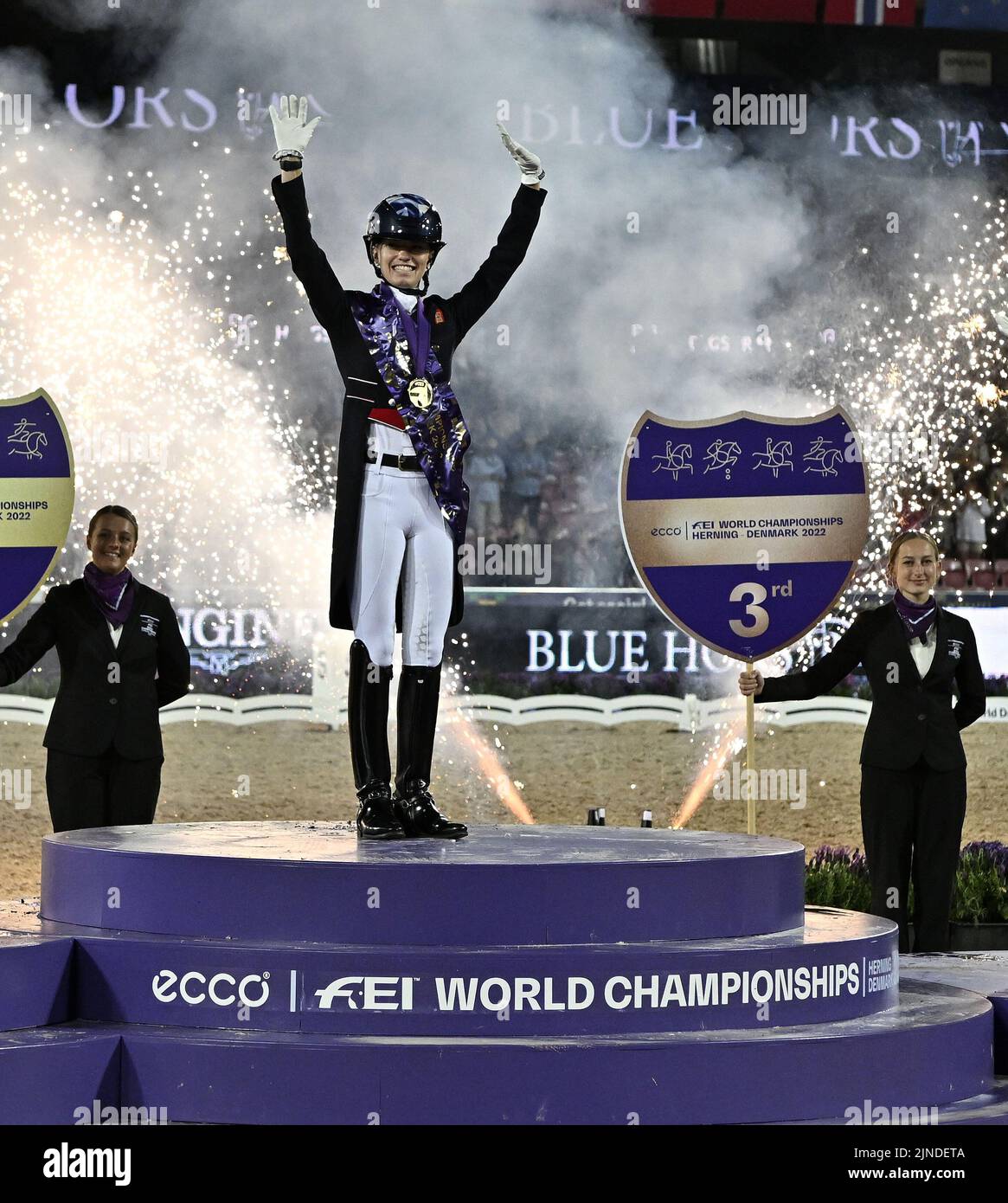 Herning, Denmark. 10th Aug, 2022. World Equestrian Games. Stables