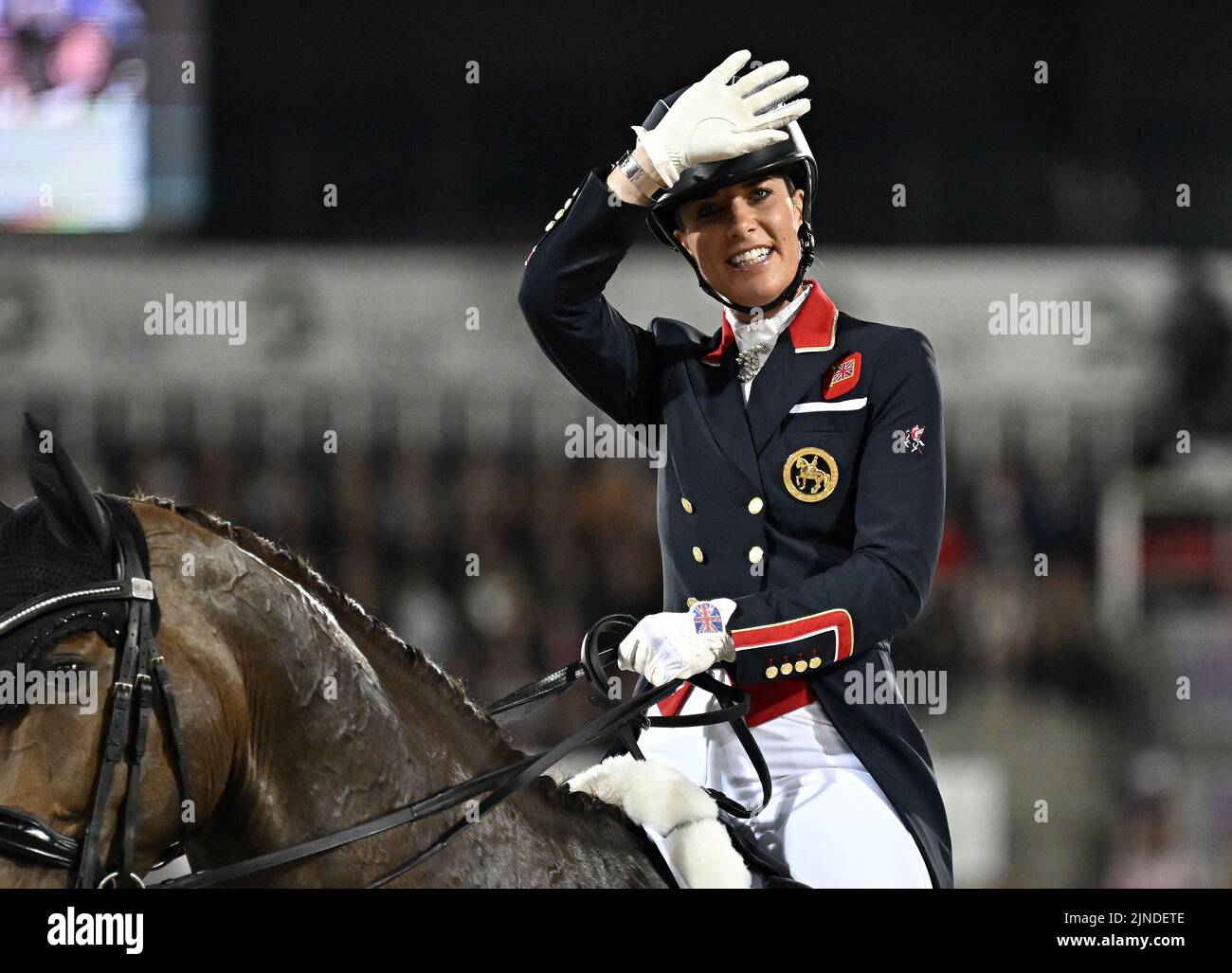 Herning, Denmark. 10th Aug, 2022. World Equestrian Games. Stables