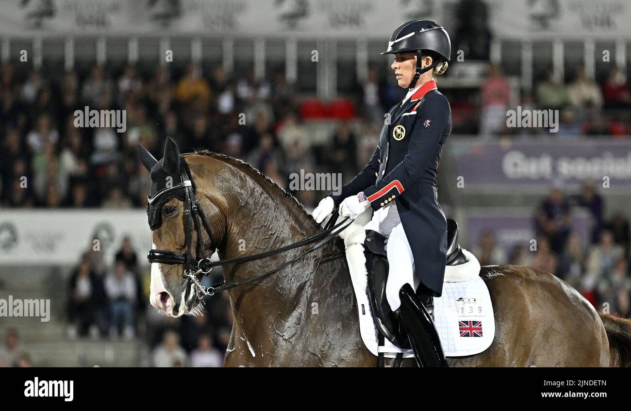Herning, Denmark. 10th Aug, 2022. World Equestrian Games. Stables ...