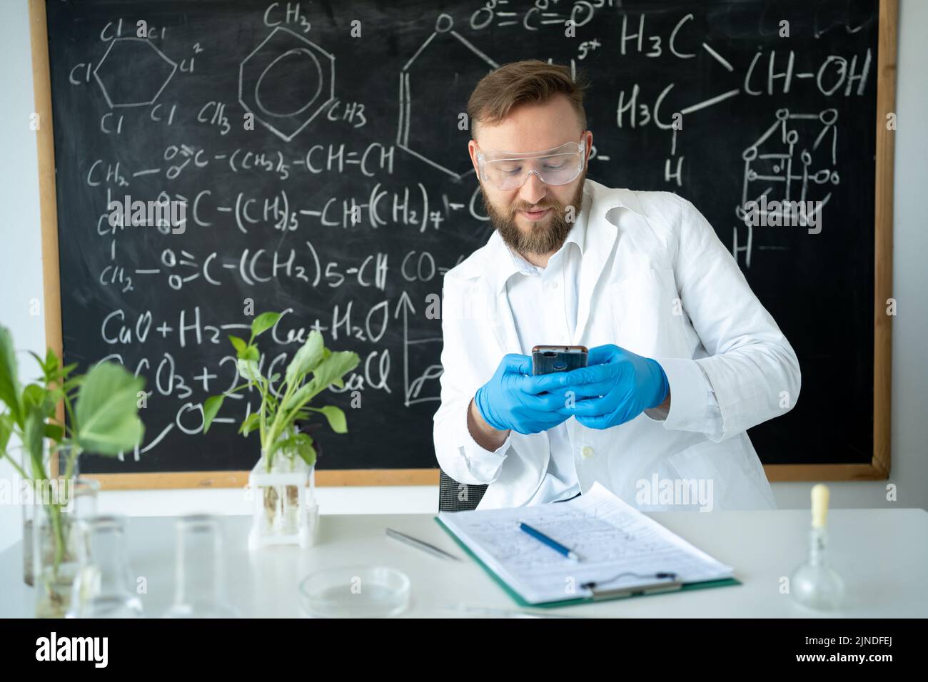 scientist using smart phone to control growth of plant on work place in biotechnical lab Stock Photo