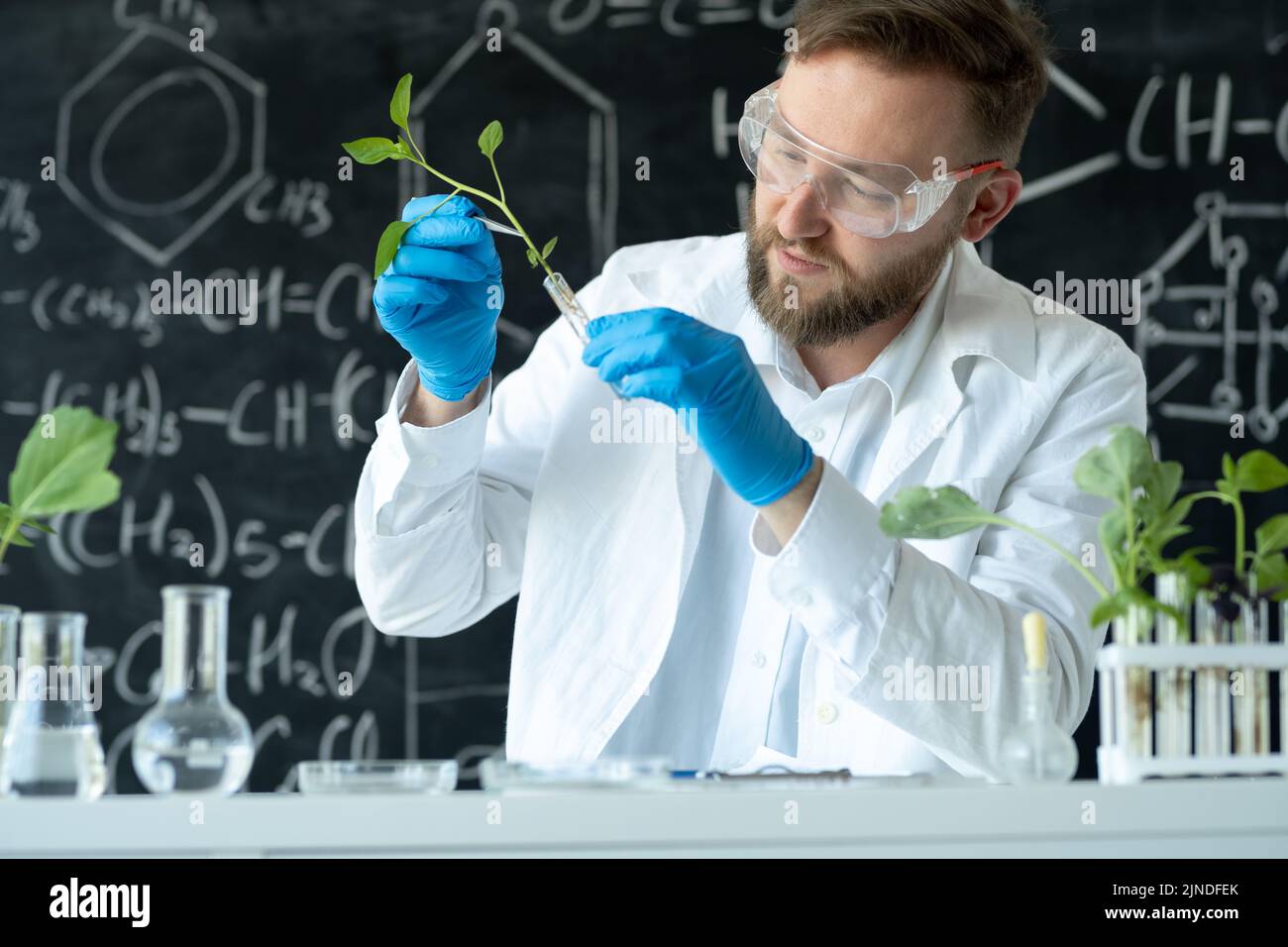 Biologist conducts experiments in a laboratory by synthesising