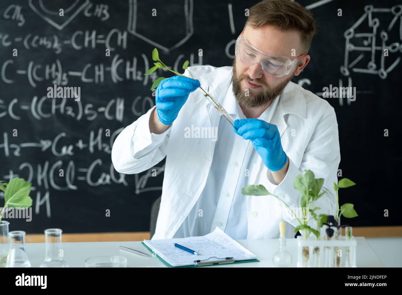 Biologist conducts experiments experimenting with plant breeding by synthesising compounds, with use of a test tube in a modern Laboratory Stock Photo