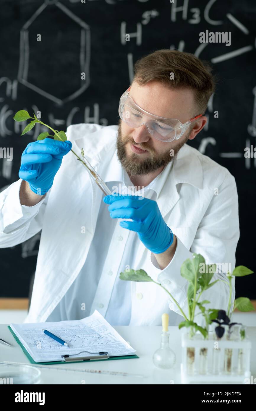 Biologist conducts experiments experimenting with plant breeding by synthesising compounds, with use of a test tube in a modern Laboratory Stock Photo