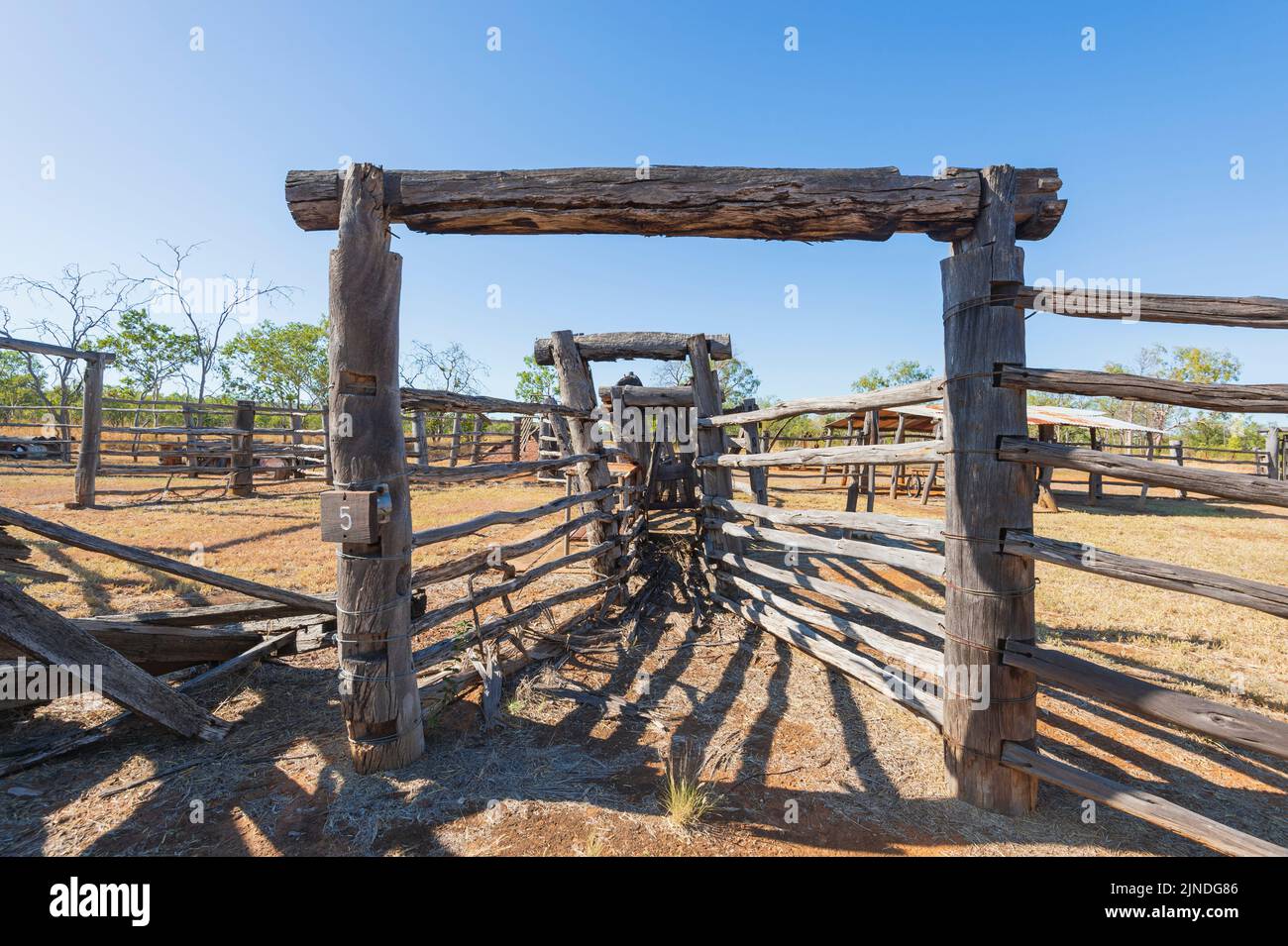 Old stockyards built in the 1950s made with local Lancewood and Bloodwood at the historic Bullita Homestead, once an outstation owned by the Durack fa Stock Photo