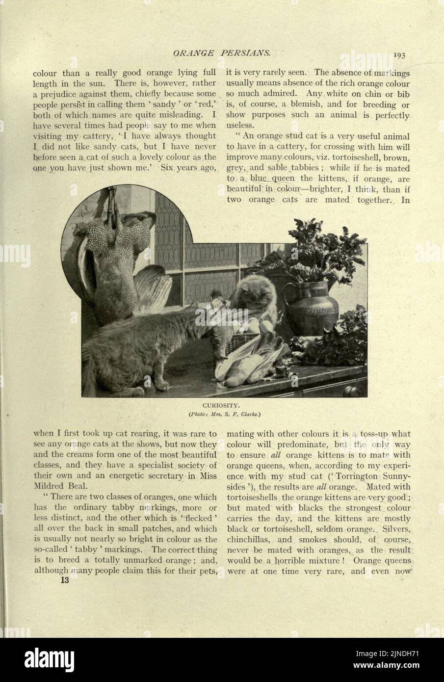 The book of the cat stock photo alamy
