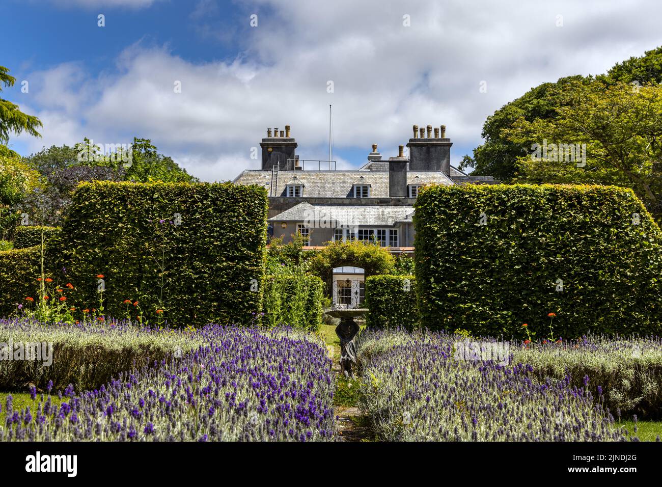 Trewithen House and Gardens, Truro, Cornwall, England Stock Photo