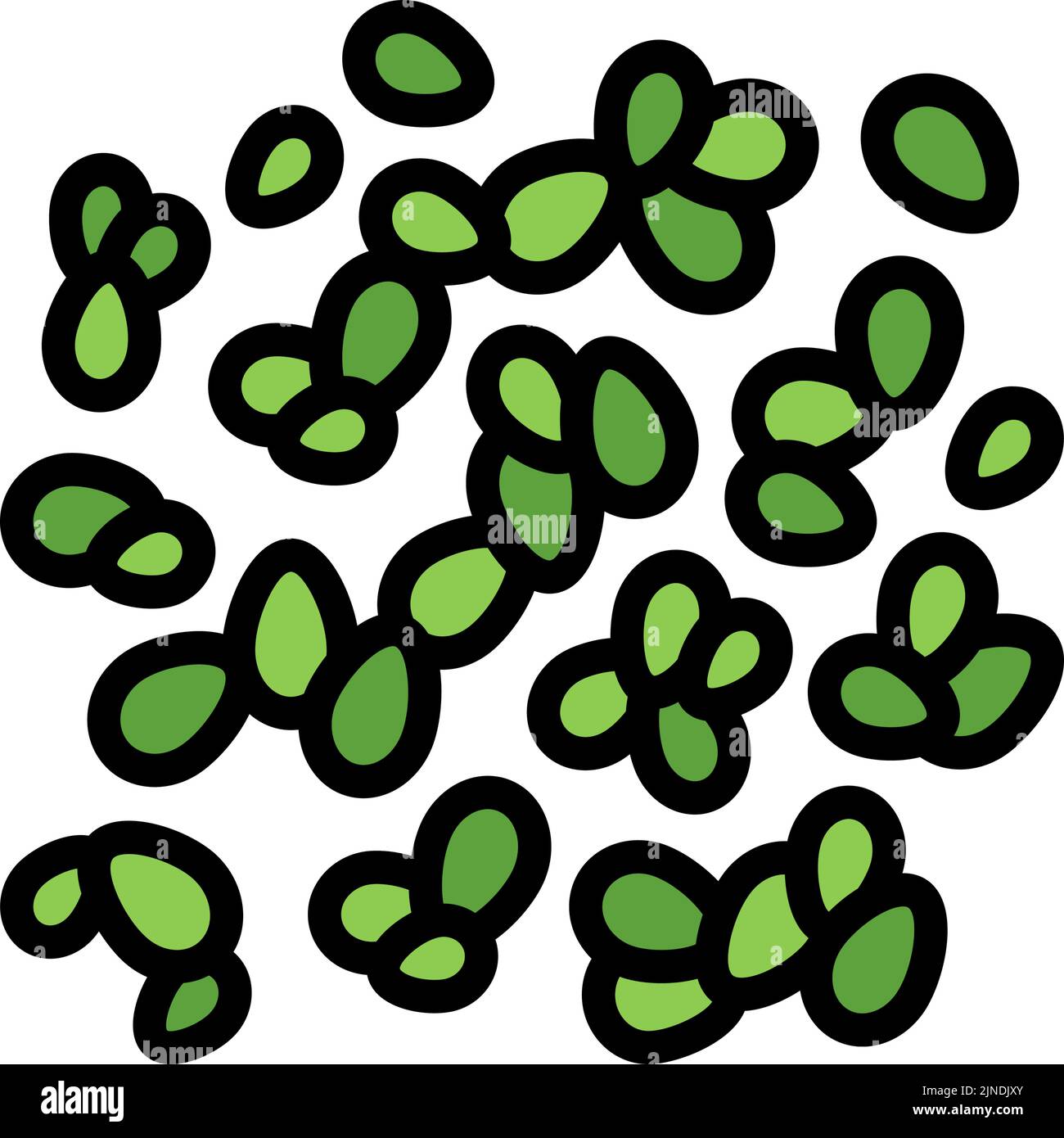 duckweed seaweed color icon vector illustration Stock Vector
