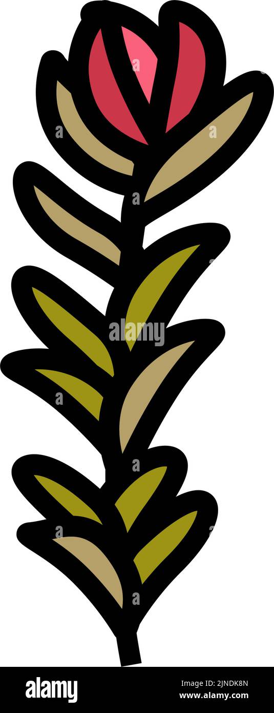 rotala rotundifolia seaweed color icon vector illustration Stock Vector