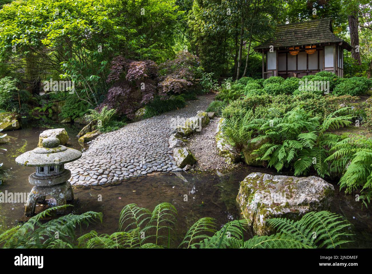 Japanese garden at Pinetum Gardens, St Austell, Cornwall, England Stock Photo