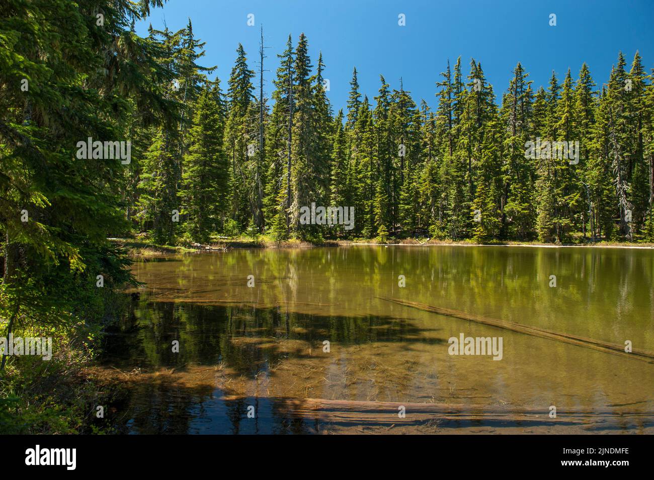 A small, unnamed lake at mile 1911.1 on the Pacific Crest Trail, near Willamette Pass, Oregon. Stock Photo