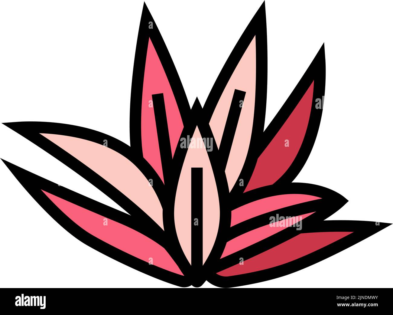 cryptocoryne wendttii color icon vector illustration Stock Vector
