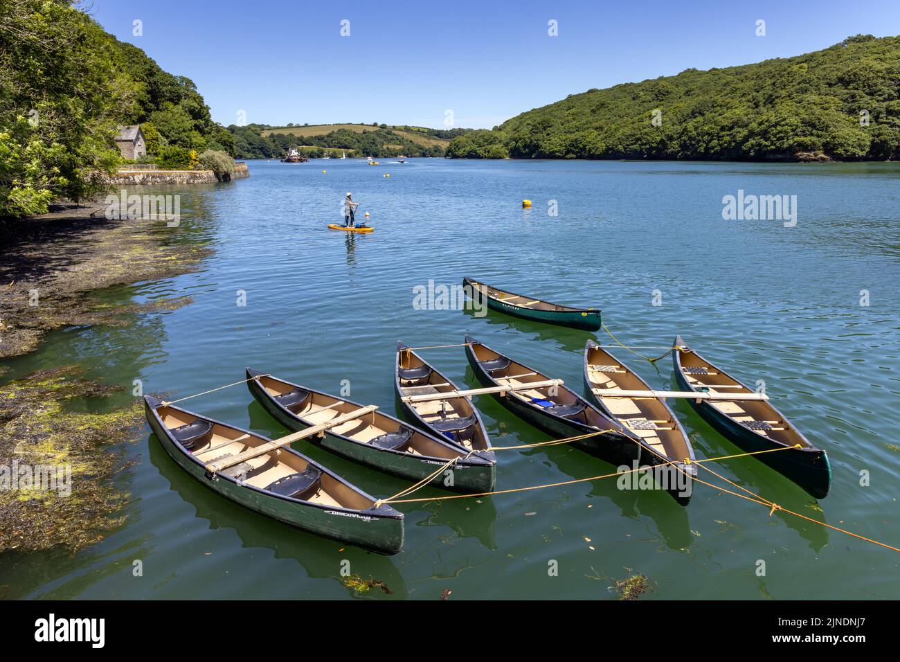 A paddleboarder paddling along the River Fal in south Cornwall. Stock Photo