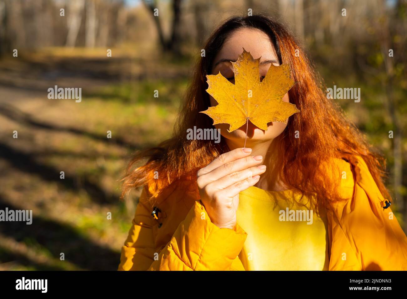 Hand holding fallen maple leaf hi-res stock photography and images - Alamy
