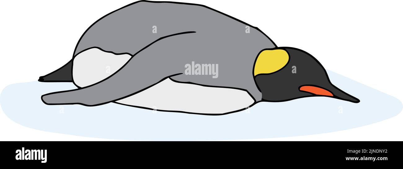 Illustration of emperor penguin Stock Vector Image & Art - Alamy