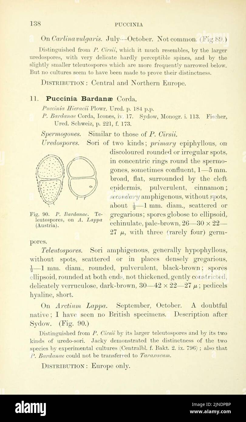 The British rust fungi (Uredinales) (Page 138) Stock Photo