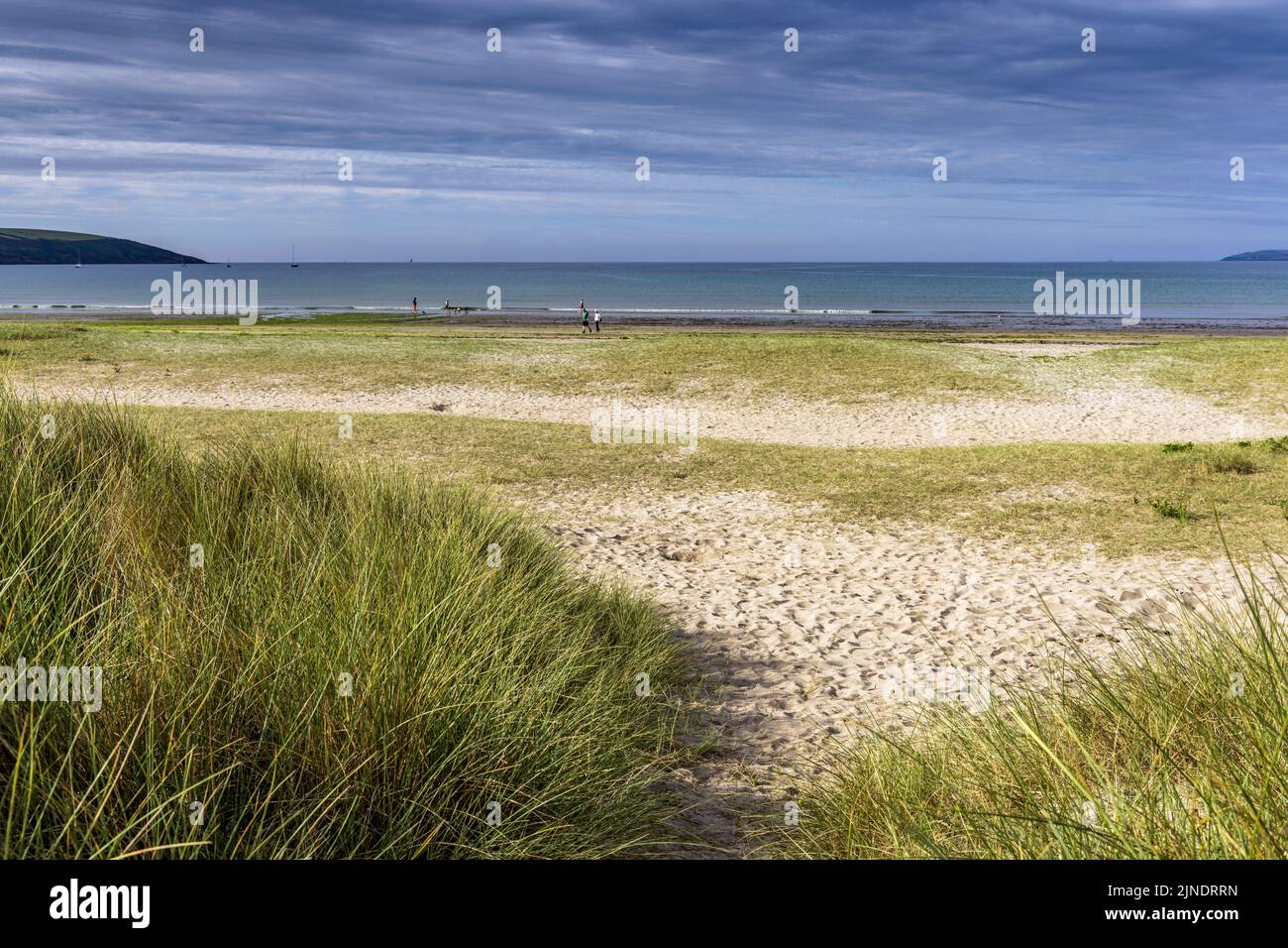Sand dunes at Par Sands Beach in Cornwall, England. Stock Photo