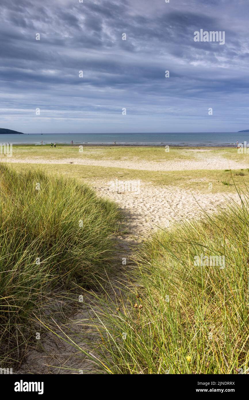 A path through the sand dunes to the sandy Par Sands Beach in Cornwall, England. Stock Photo