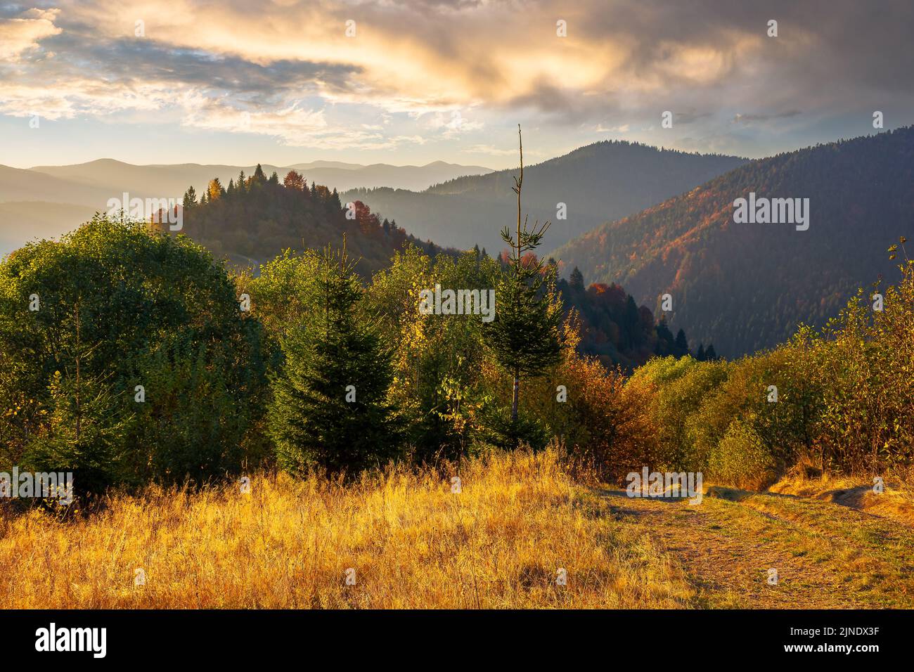 mountainous countryside in autumn. forest in colorful foliage on the hills. mountain range in the distance beneath a sky with beautiful cloudscape. wo Stock Photo