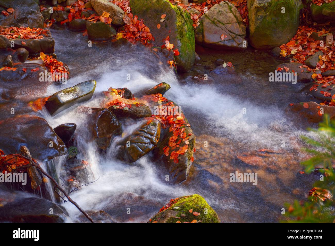 water flow among the mossy rocks. beautiful nature background on a sunny autumn day in forest. fallen foliage on the shore and creek. ripples on the t Stock Photo