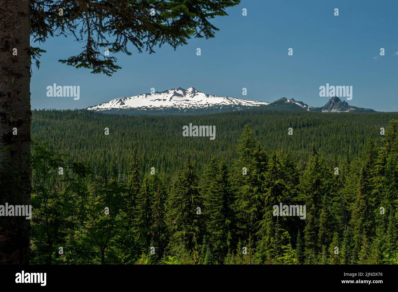 Diamond Peak, as seen from a highway viewpoint at Willamette Pass, Oregon.  The twin peaks of Mt. Yoran are to the right. Stock Photo
