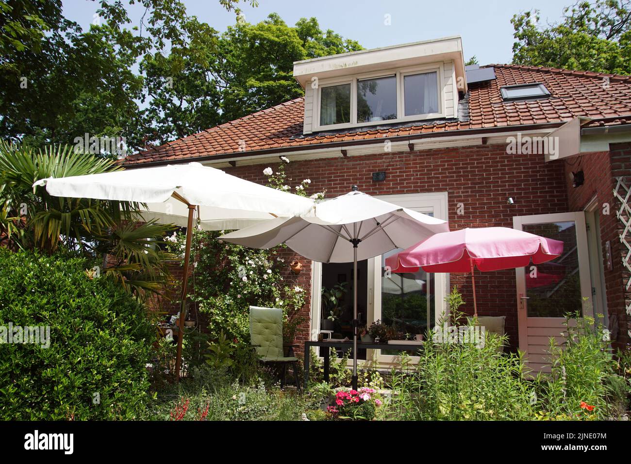 Three different umbrellas in a Dutch backyard on a sunny day. June, Netherlands. Stock Photo