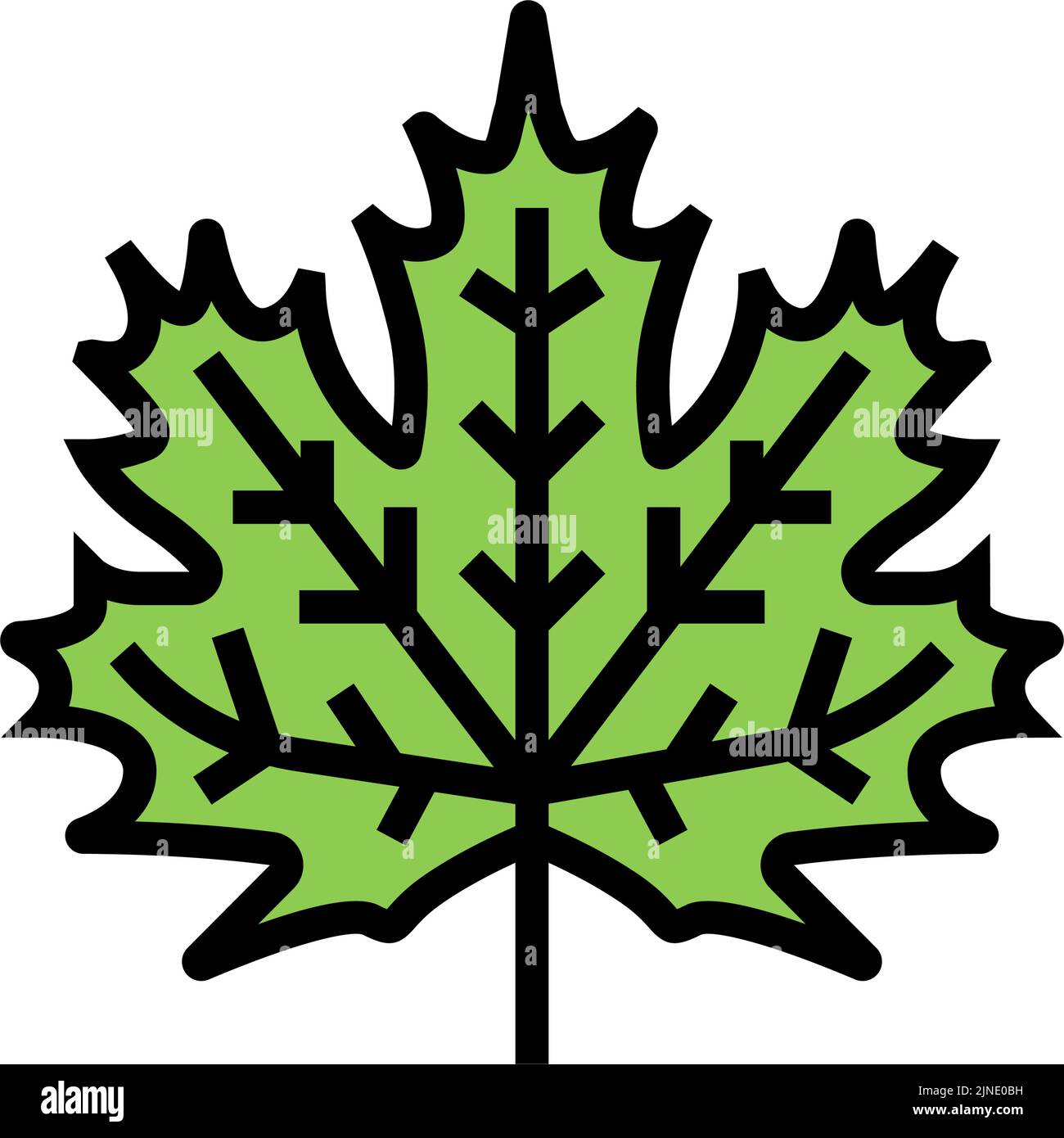 maple leaf color icon vector illustration Stock Vector Image & Art - Alamy