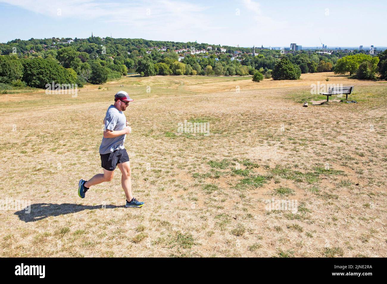 London ,United Kingdom  -09/08/2022. A man runs across a dried out Hampstead Heath, North London as the UK heads into another period of hot and dry we Stock Photo