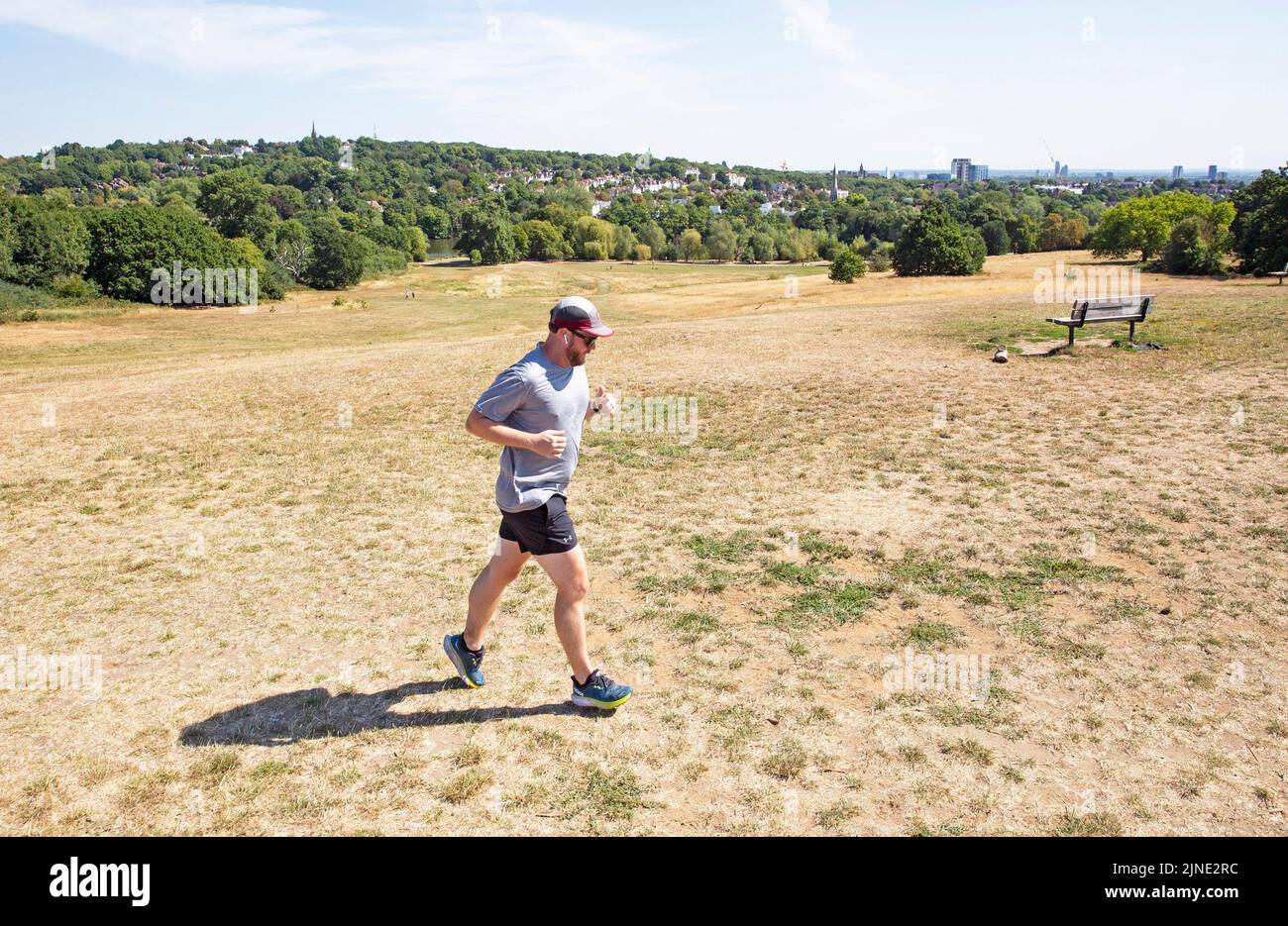 London ,United Kingdom  -09/08/2022. A man runs across a dried out Hampstead Heath, North London as the UK heads into another period of hot and dry we Stock Photo