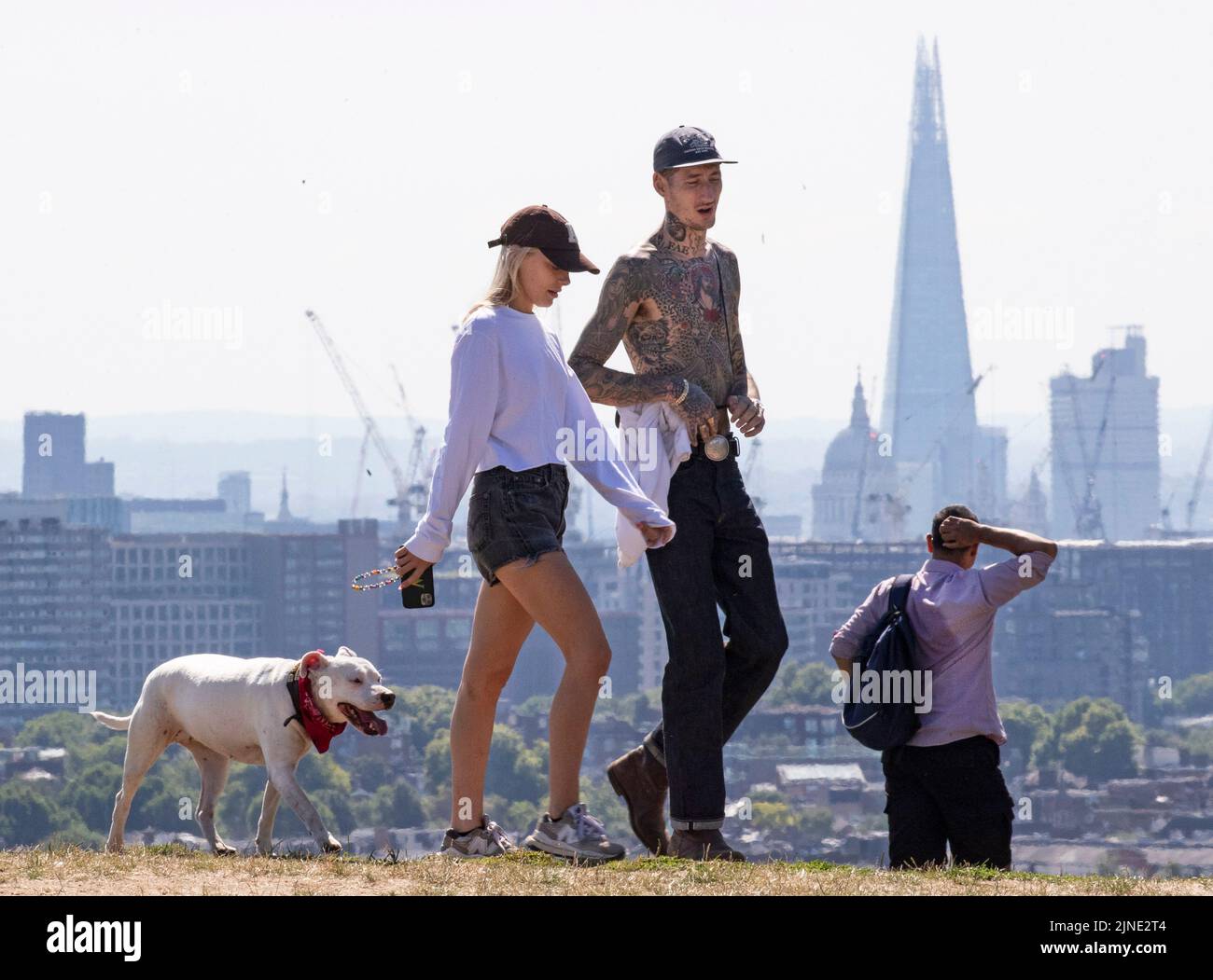 London ,United Kingdom  -09/08/2022. A couple walk on a dried out Hampstead Heath, North London with their dog as the UK heads into another period of Stock Photo